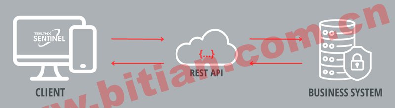 RESTful API 圖形與計算機、云和業(yè)務系統(tǒng)或服務器一起通信以進行休息